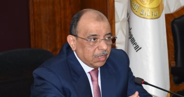 وزير التنمية المحلية محمود شعراوى