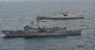 القوات البحرية المصرية والفرنسية