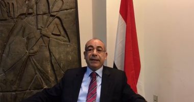 مندوب مصر الدائم لدى الأمم المتحدة السفير محمد إدريس