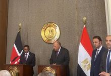 وزيري الخارجيه المصري والكيني
