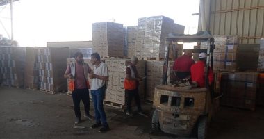 شحنات مساعدات لقطاع غزة من الهلال الأحمر المصري