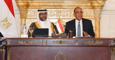 وزير الخارجية بدر عبد العاطي خلال جلسة بحضور رئيس المصرف العربي للتنمية الاقتصادية في أفريقيا لبحث دعم الشركات المصرية في أفريقيا